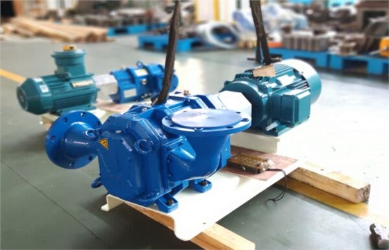 抽糞用泵.jpg 抽糞用泵.jpg