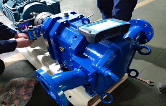 彈性體凸輪轉(zhuǎn)子泵安裝調(diào)試中.jpg 彈性體凸輪轉(zhuǎn)子泵安裝調(diào)試中.jpg