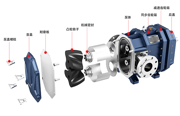彈性體凸輪轉(zhuǎn)子泵爆炸圖.jpg