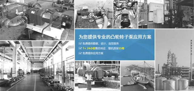 凸輪轉子泵制造商